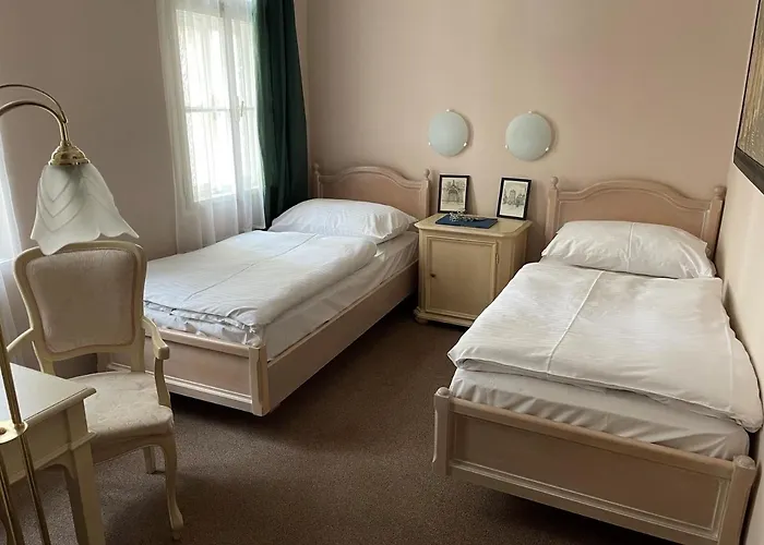 ホテル ウ チェルヴェネ ジドレ - レッド チェア プラハ